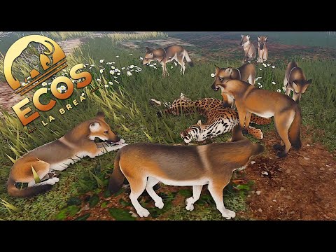 How a Pack of Dire Wolfs Survived the Ice Age