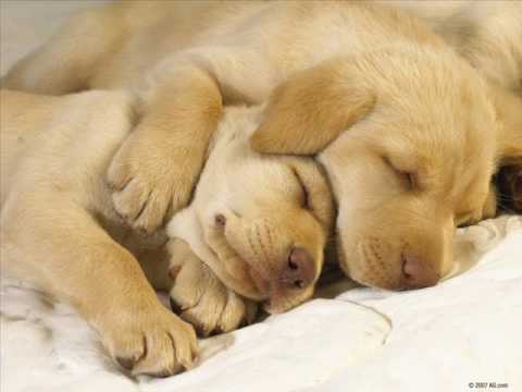 Pumpz Koos Elu ja Saatusega - Elu läheb edasi .wmv