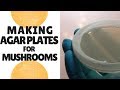 How to Make Agar Plates for Growing Mushrooms