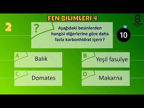 4. Sınıf Fen Bilimleri 1. Ara Tatil Değerlendirme Sınavı