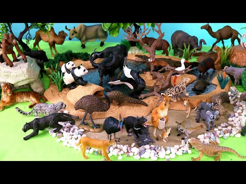 Fun Safari Diorama for Asian and Australian Animal Figurines - Learn Animal Names