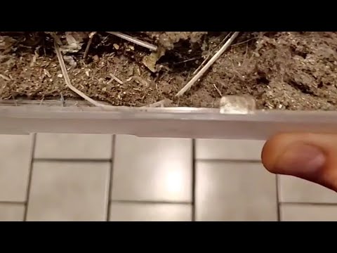 Roborock S5 Max review