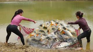 Interesting Fishing Technique, Pulling The Net To Harvest Many Big Fish In Large Lake | Nana Fishing