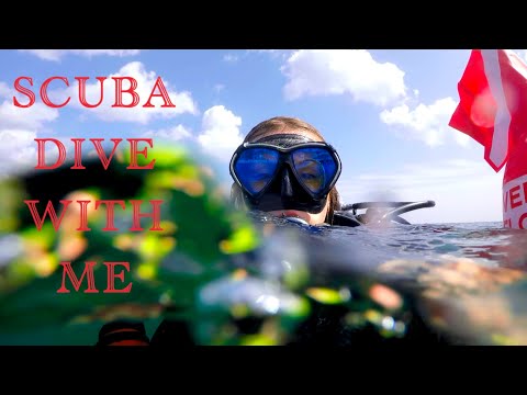 Scuba Dive With Me!