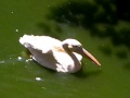 channel