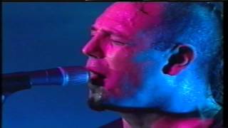 ALMAFUERTE-Tu Eres Su Seguridad