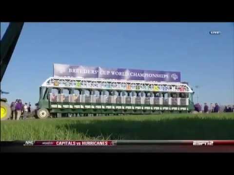 2011 Breeders Cup Juvenile Fillies Turf (Stephanie's Kitten)