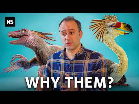 Why Birds Are The Only Surviving Dinosaurs