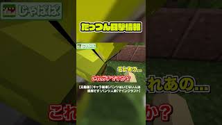 どこからか入手したたっつんの秘密#からぴち#minecraft