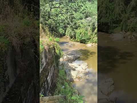 Río Buey en La vía al municipio de Abejorral Antioquia 🙋🏾 puente de la Bruja