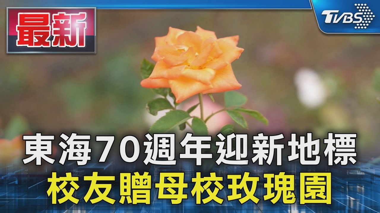 東海大學70週年慶 小王子玫瑰園揭幕萬朵玫瑰盛放