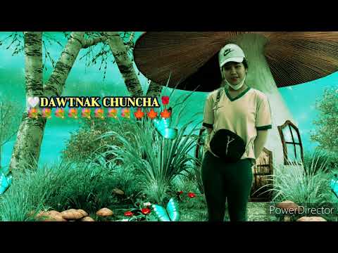 Dawtnak Chuncha //Paling//phonto (cover) A zi