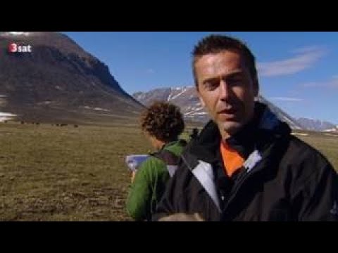 Steffens entdeckt Grönland Eisige Wildnis Doku (2017)