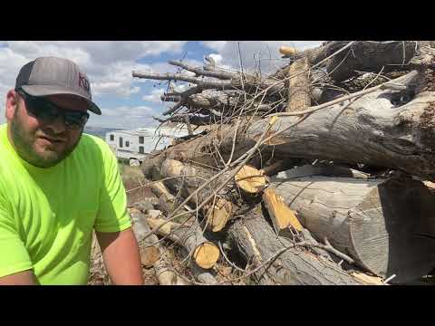 Hipa Chainsaw Parts