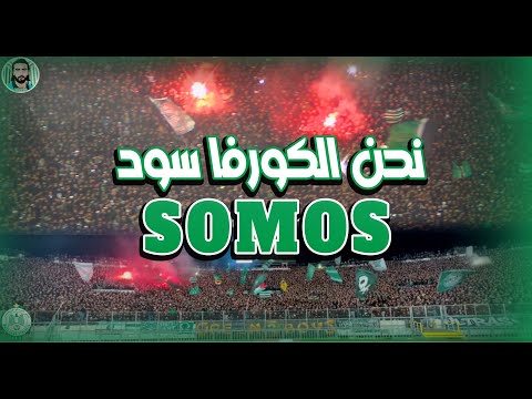 SOMOS CURVA SUD 💚  أغنية نحن كورفــا ســــــود بكاميرتين