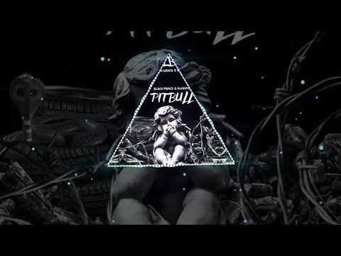 Aladino - Pitbull (feat. Black Prince)