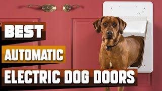 Best Automatic Electric Dog Door In 2024 - Top 10 Automatic Electric Dog Doors Review