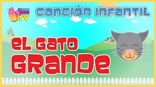 ♫♪ ♫♪ EL GATO GRANDE y más canciones infantiles