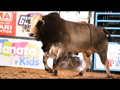 Rodeio da FICAR de Assis 2022 (SEXTA / MELHORES MOMENTOS) 11ª Etapa CRP