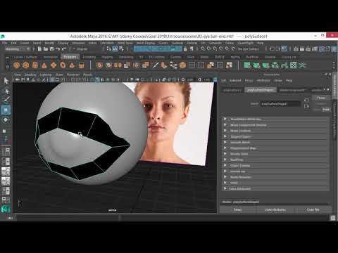 Learn Maya Character Head Modeling for Beginners