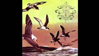 Flotation Toy Warning - Losing Carolina ; For Drusky [OFFICIAL AUDIO]