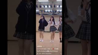 【TikTok】jkの制服しかかたん