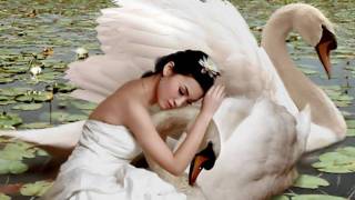 Mi Morenita - Conjunto Primavera