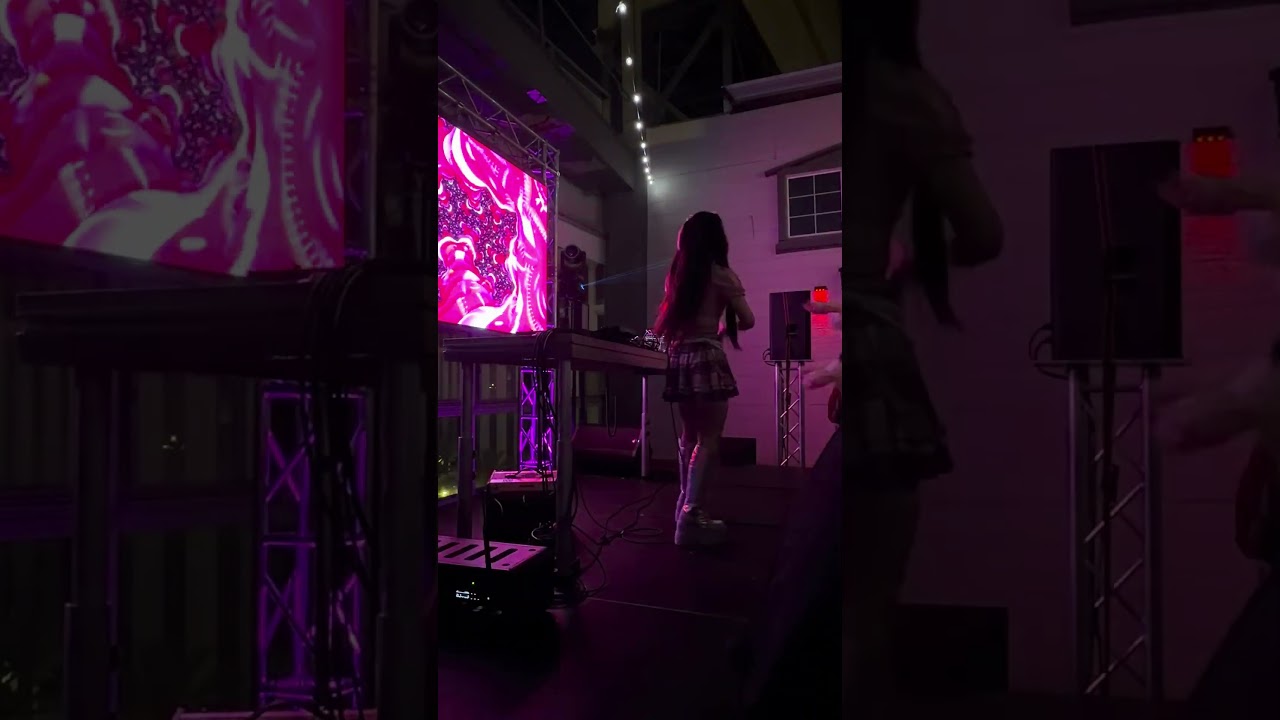 Video 2