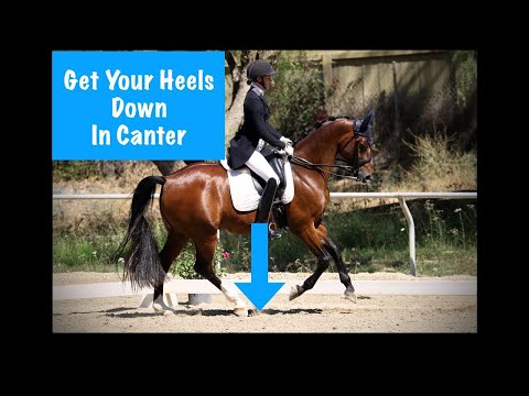 So halten Sie Ihre Steigbügel im Galopp