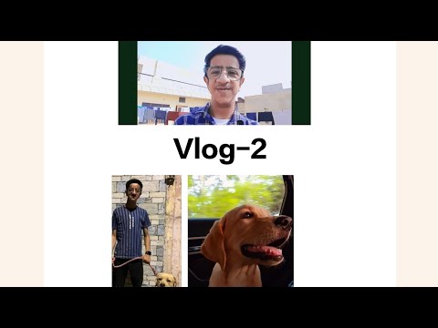 My Labrador Is Not Well ll Ojasvi Sharma ll #youtube #labrador #vlog