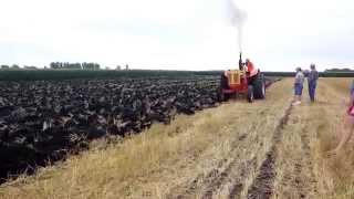 preview picture of video 'Classic Tractors plowing at Butterfield'