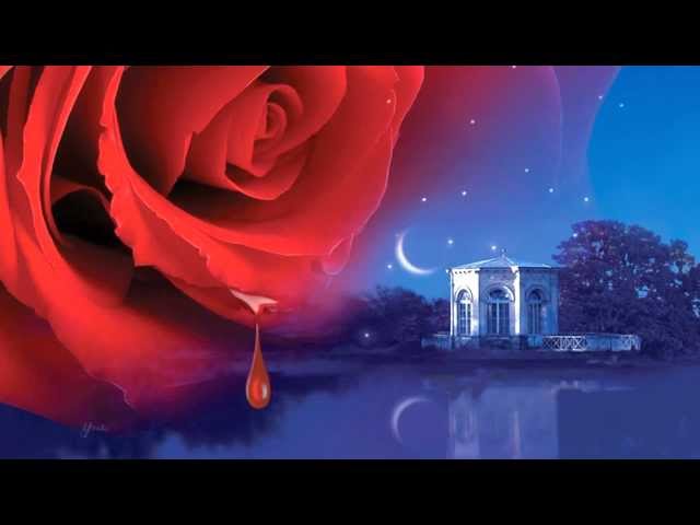 Vídeo relacionado con Jardines de cristal (Mujeres de Lantern Street 1) (Ficción)