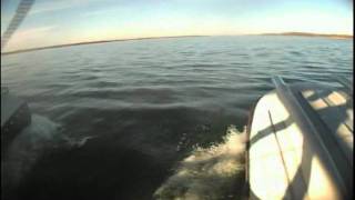 Full Lotus Floats - Mike Owens Flying - Pat Metheny Music - Last Train Home