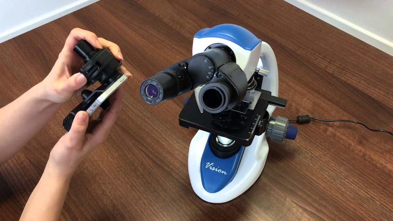 InSight Microscope Accessories