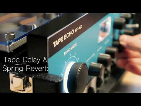 Echo Fix EF-X2 Spring Reverb + Tape Echo Demo (vocals)