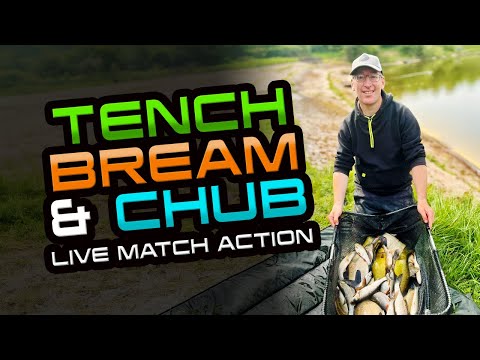 Tench, Bream & Chub! (LIVE MATCH)