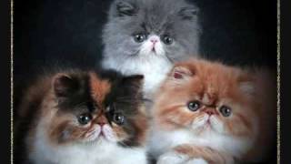 Download lagu Yuna - Dan sebenarnya(song with lyrics)Best view mp3 Download lagu Yuna - Dan sebenarnya(song with lyrics)Best view mp3