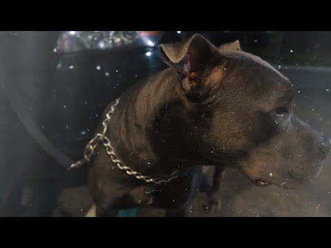 SoDan & Lil Rafe - Hard N Soft (Directed by SoDan)