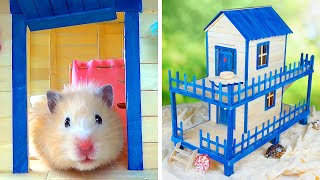 Hamster Stays at Home
