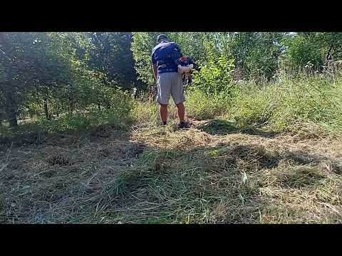 La cosit iarba verde la Slatina de crisArad