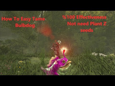 How to tame Bulbdog Easy Ark Survival Evolved no need to plant z seeds %100 effectiveness Valguero