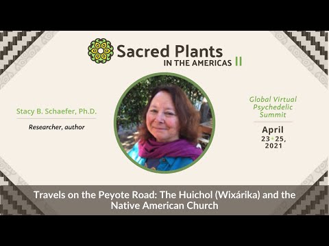 Travels on the Peyote Road: The Huichol (Wixárika) and the Native American Church | Sacred Plants II