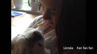 Linnéa  -  Fan fan fan
