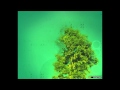 Guts - Take a look around you (Outlines Remix)