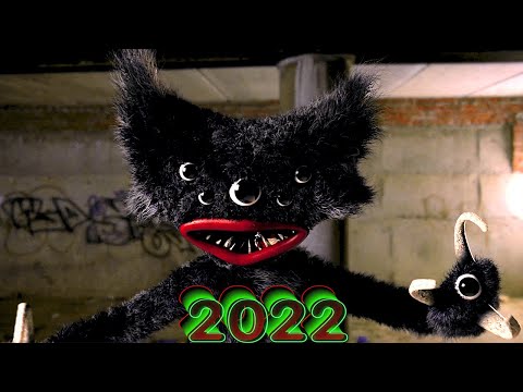 Evolution of Killy Willy