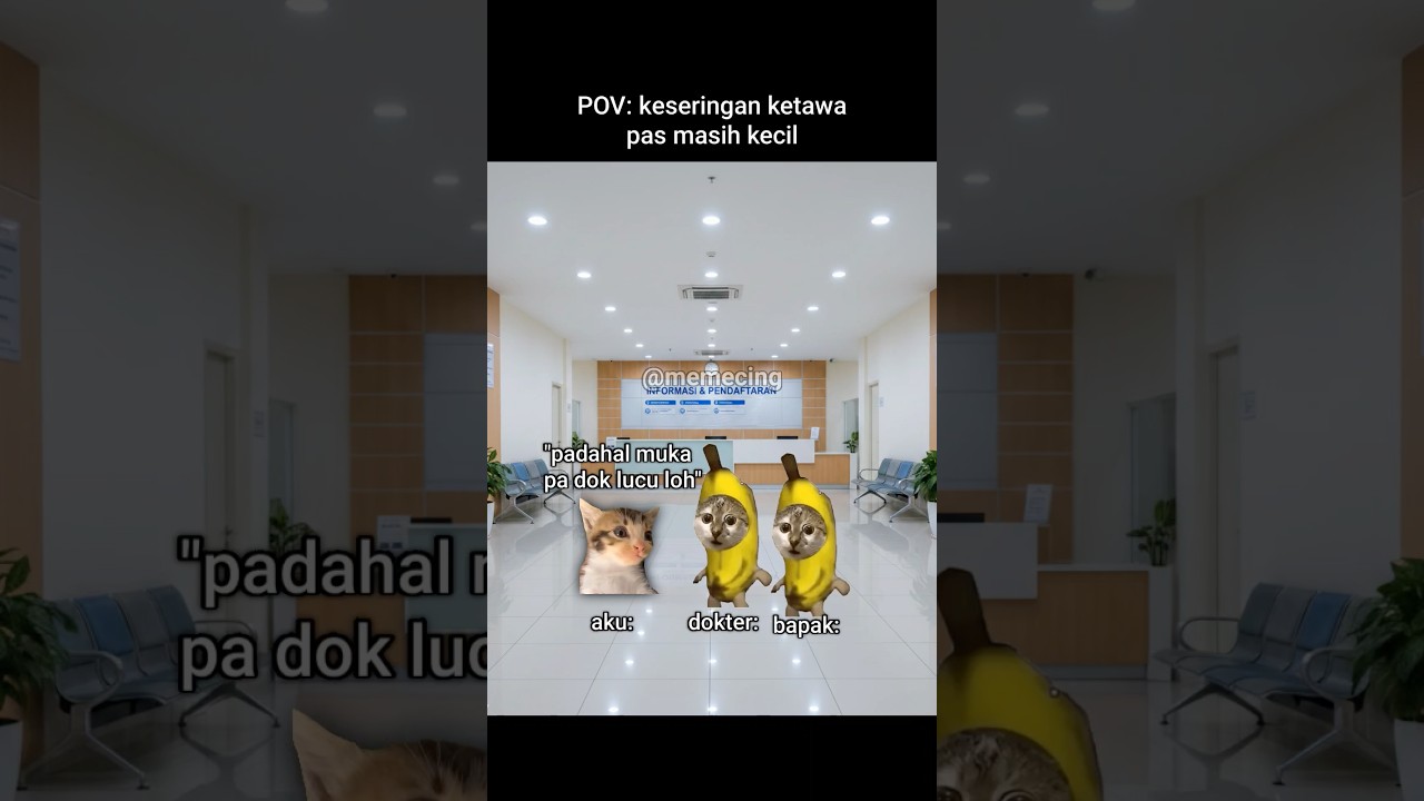 The Kitten Doc’s Patient Kasian: A Feline Fiasco