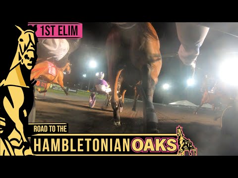 2022 Hambletonian Oaks 1st Elim - Venerable - 3FT