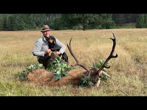 Heiko Hornung erlegt seinen 2ten Pommernhirsch - Aufgang der Hirschbrunft