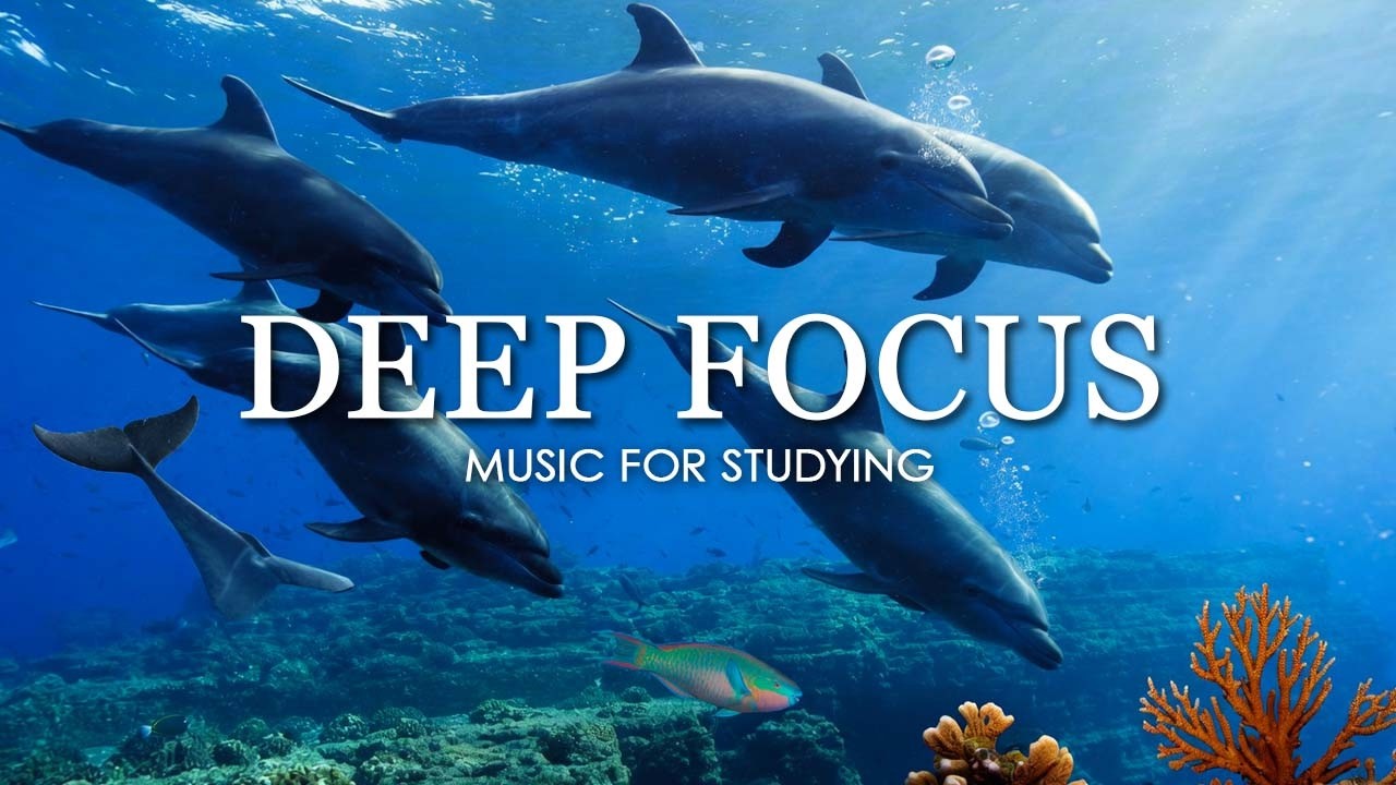 Deep Work Music for Concentration - 12 Hours of Ambient Study Music to Concentrate #71