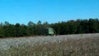 preview picture of video 'Picking Cotton in Estill, SC'